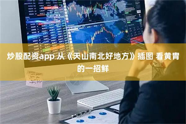 炒股配资app 从《天山南北好地方》插图 看黄胄的一招鲜